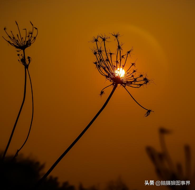 你拍的照片不够唯美,你拍的照片不清晰是怎么回事