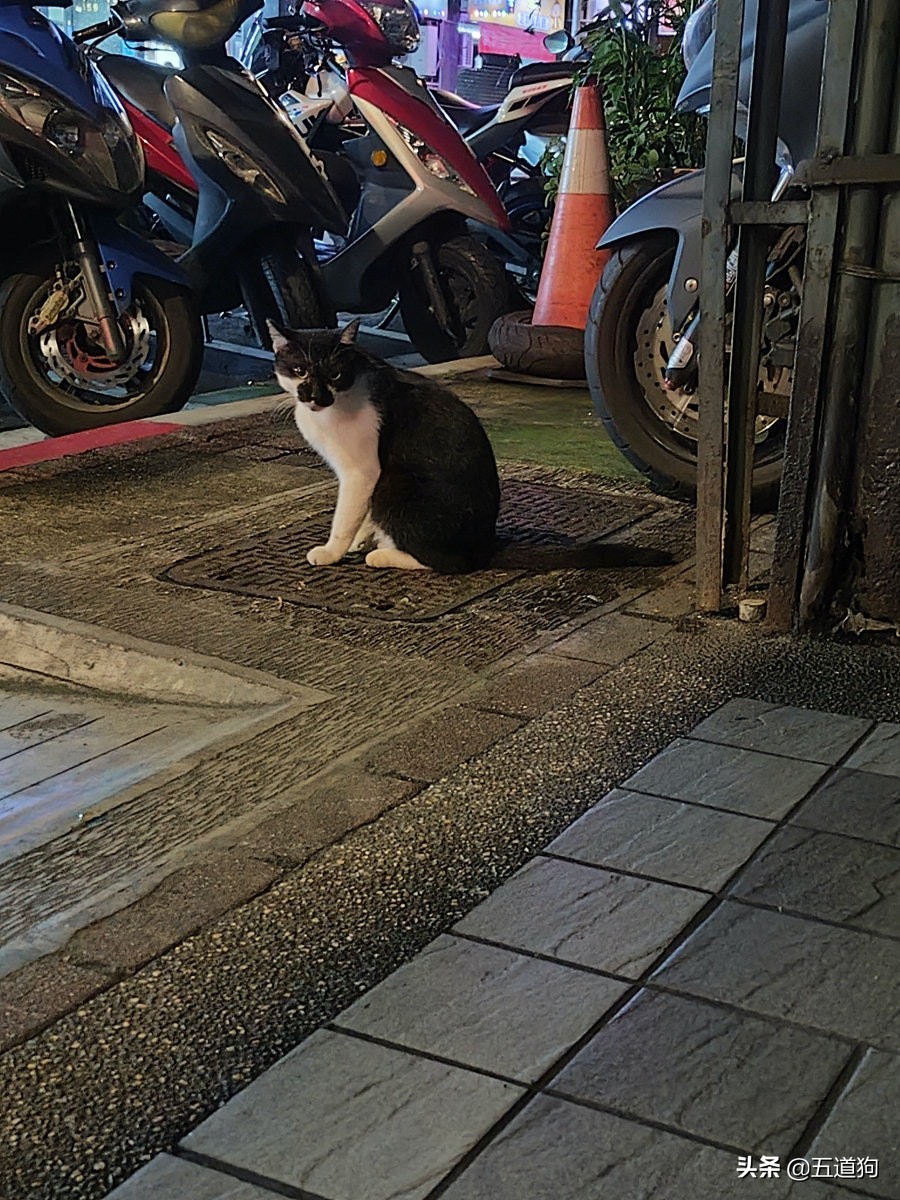 rogphone6,华硕rogphone