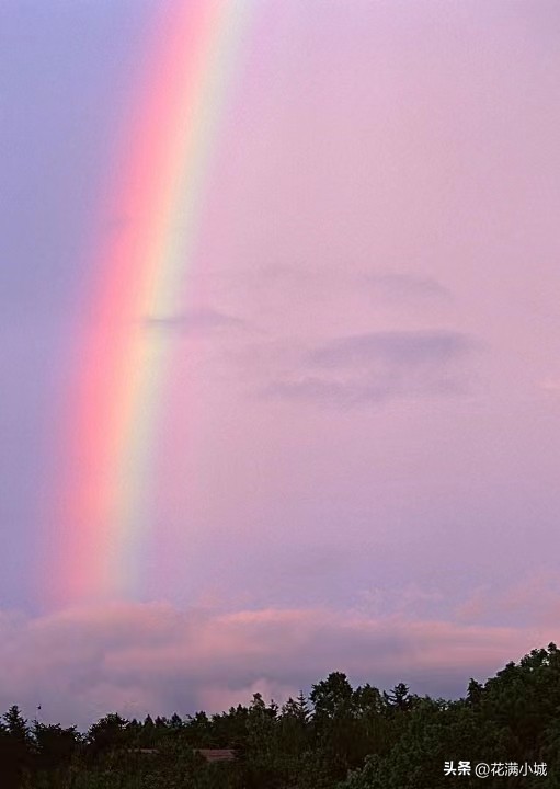 太阳雨热水器价格一览表,太阳雨歌曲