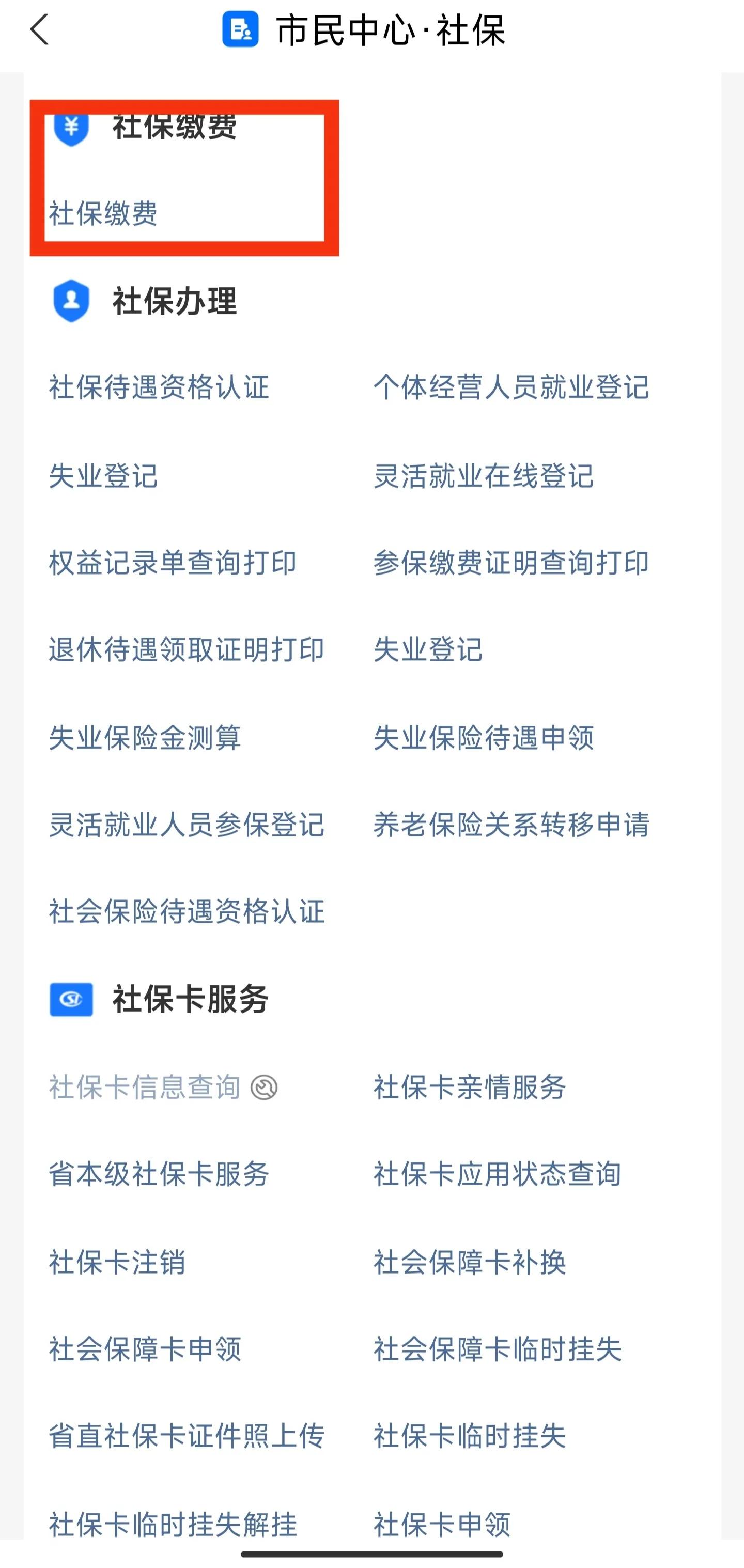 山东2024年农村养老保险缴费标准,2023年山东农村养老保险缴费时间