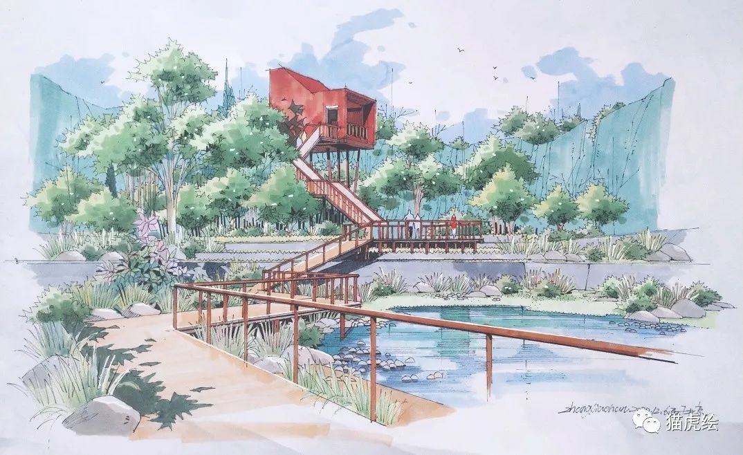 2022猫虎绘暑假手绘班招生简章「线上+线下」