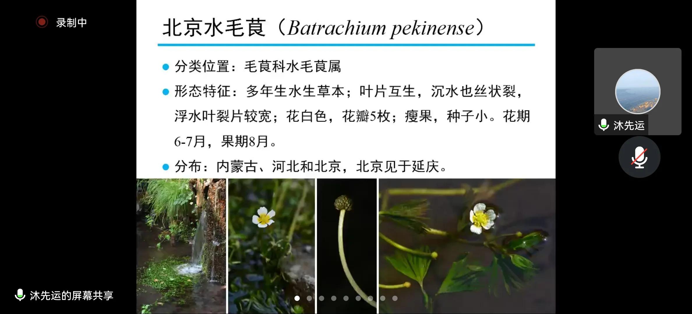 捕鸟获刑,捕鸟被抓要坐牢吗