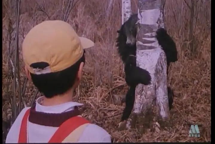 近两年一部上映后被下架的电影,最近哪部片子下架了