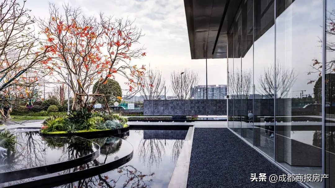 2023年四大板块,四大板块最新进展