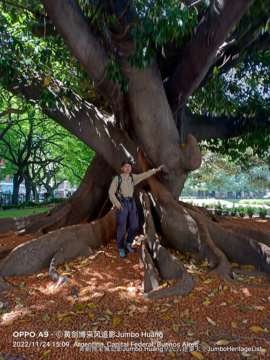 第5023回：富得像个阿根廷人，蓝花楹咖啡馆酒吧