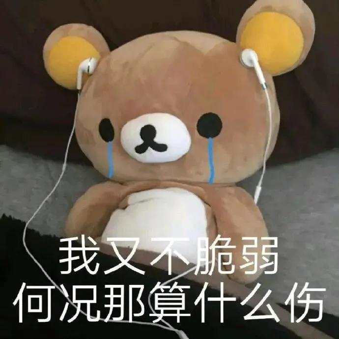 可爱的动物表情包画像,动物表情包猫猫