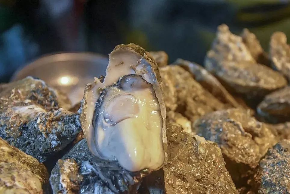 除了淄博还有哪里的烧烤值得打卡,最近火的除了淄博的烧烤还有什么