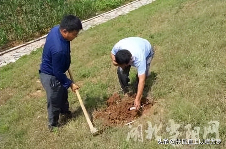 白蚁防治员是做什么的,白蚁防治管理人员培训班教些什么