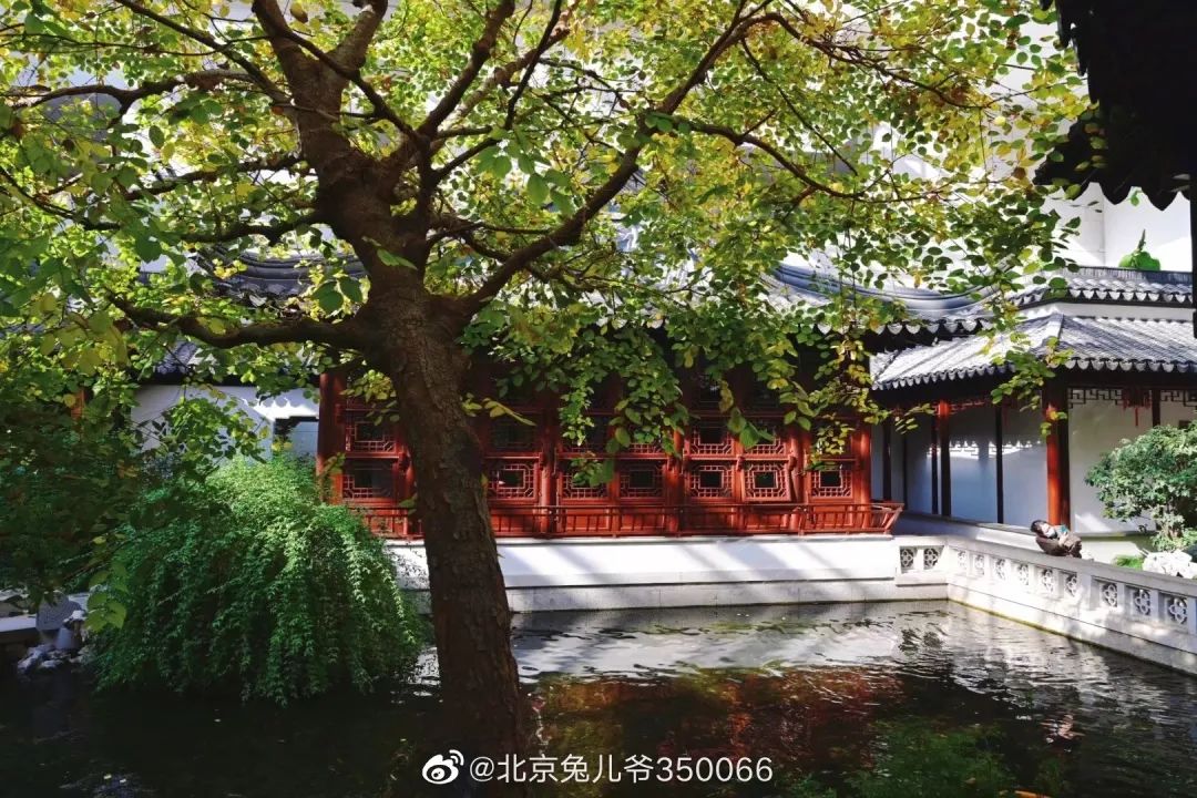 北京植物园的赏花的最好时节,西山秘境惊艳北京的植物