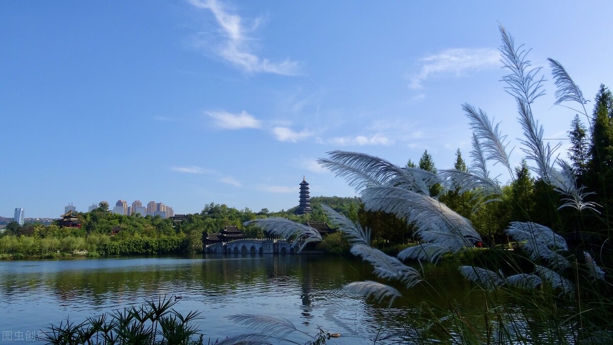 重庆市区有哪些拍照公园,重庆主城十大公园