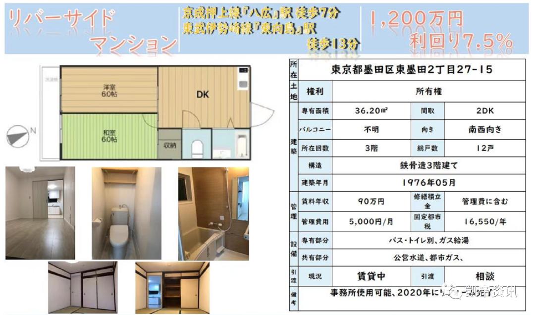 鏃ユ湰涓滀含姣忔棩鏂伴椈,姣忔棩鏂伴椈鏃ユ湰