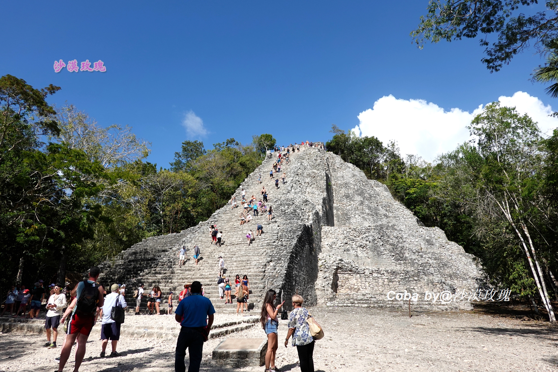 墨西哥足球历史,墨西哥足球比赛记录