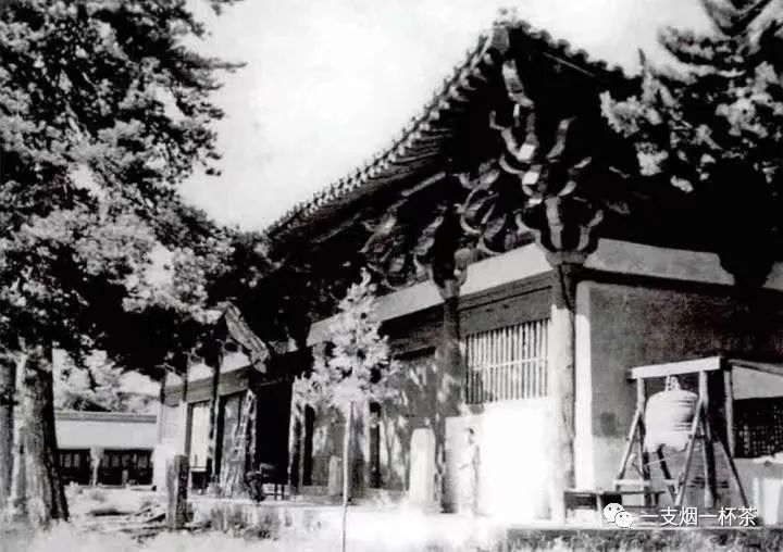 五台山佛光寺语音讲解,五台山佛光菩提寺