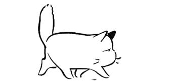 风景素材治愈系哪里找,高级感风景治愈系图片