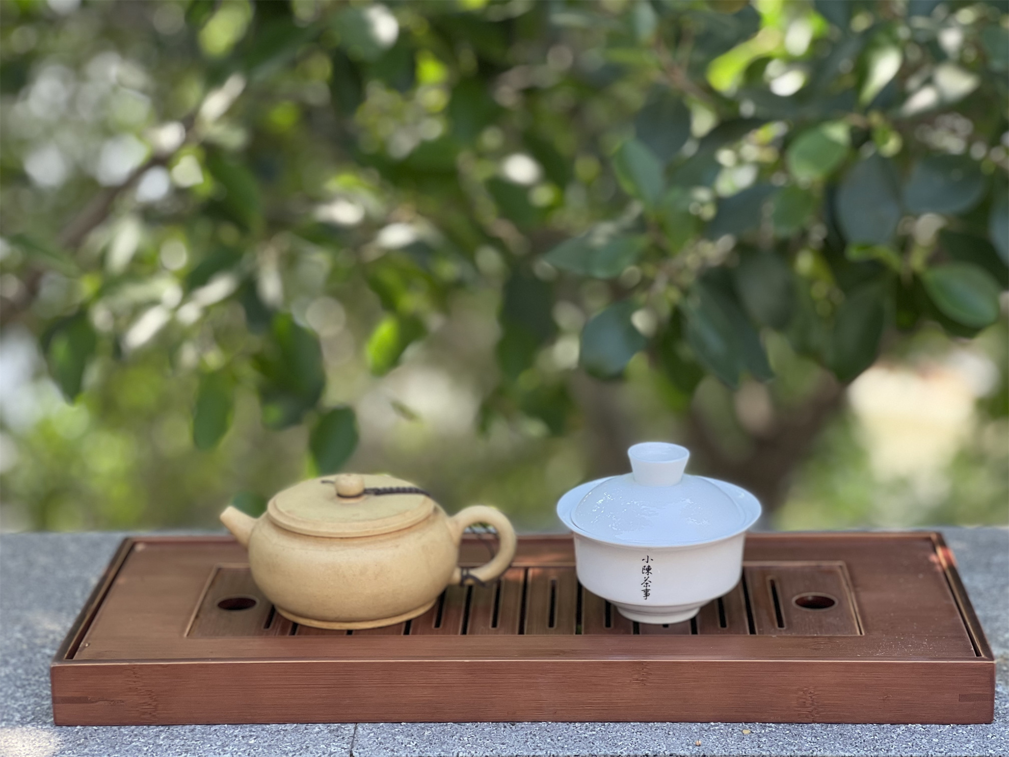 刚学喝茶的第一套茶具,刚开始喝茶的茶具