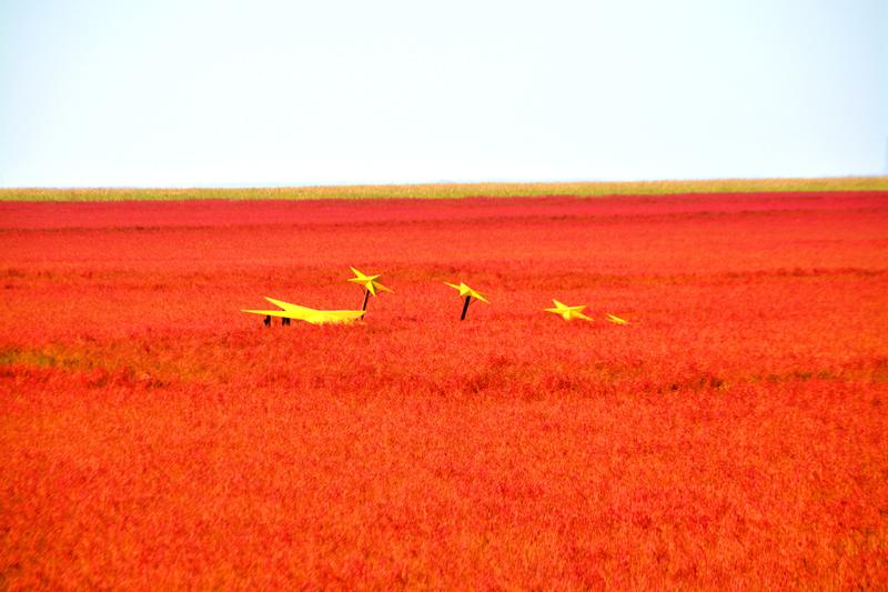 辽宁盘锦在哪个地方,去盘锦旅游哪里好