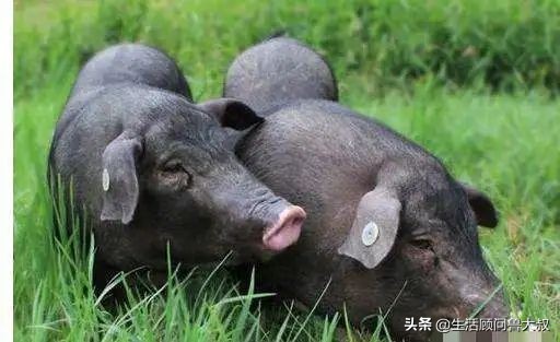 北京市的世界文化遗产有哪些,首批农业文化遗产