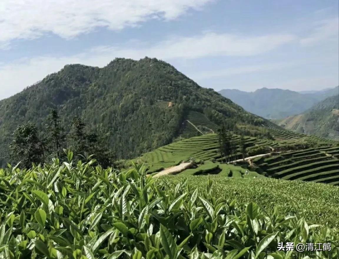 人称“蜂花醇”，有“9大增产用途”，对照使用，可提质增效