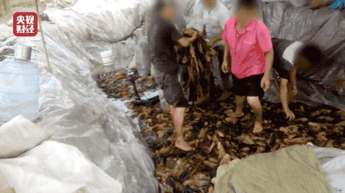 今年的315都有哪些事,2020315都讲了什么