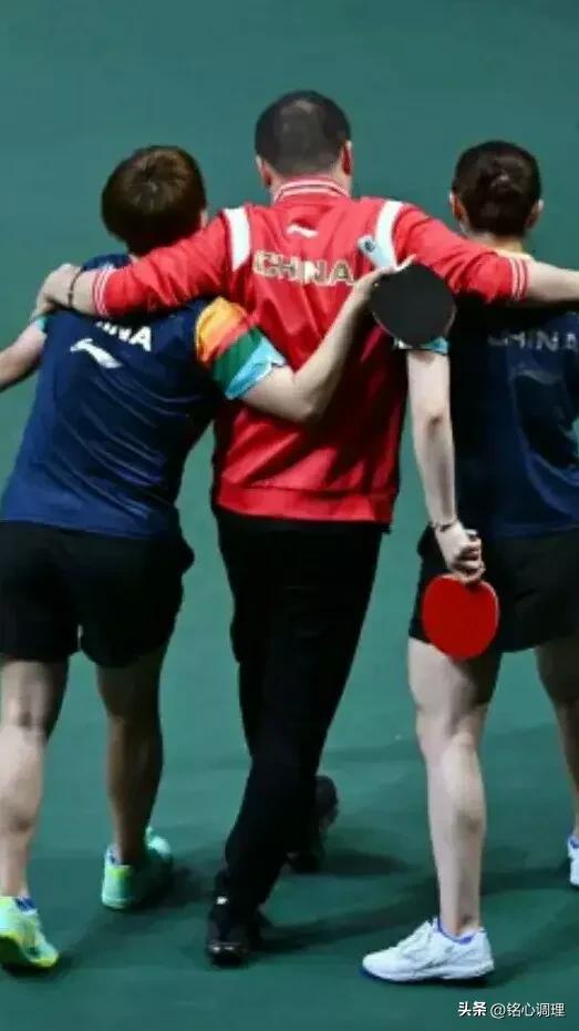 国球乒乓最新消息,国球乒乓