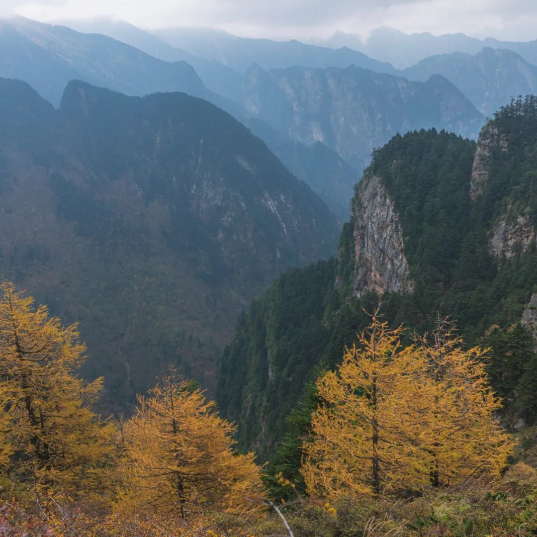 登太白山感受,太白山景区登顶拔仙台