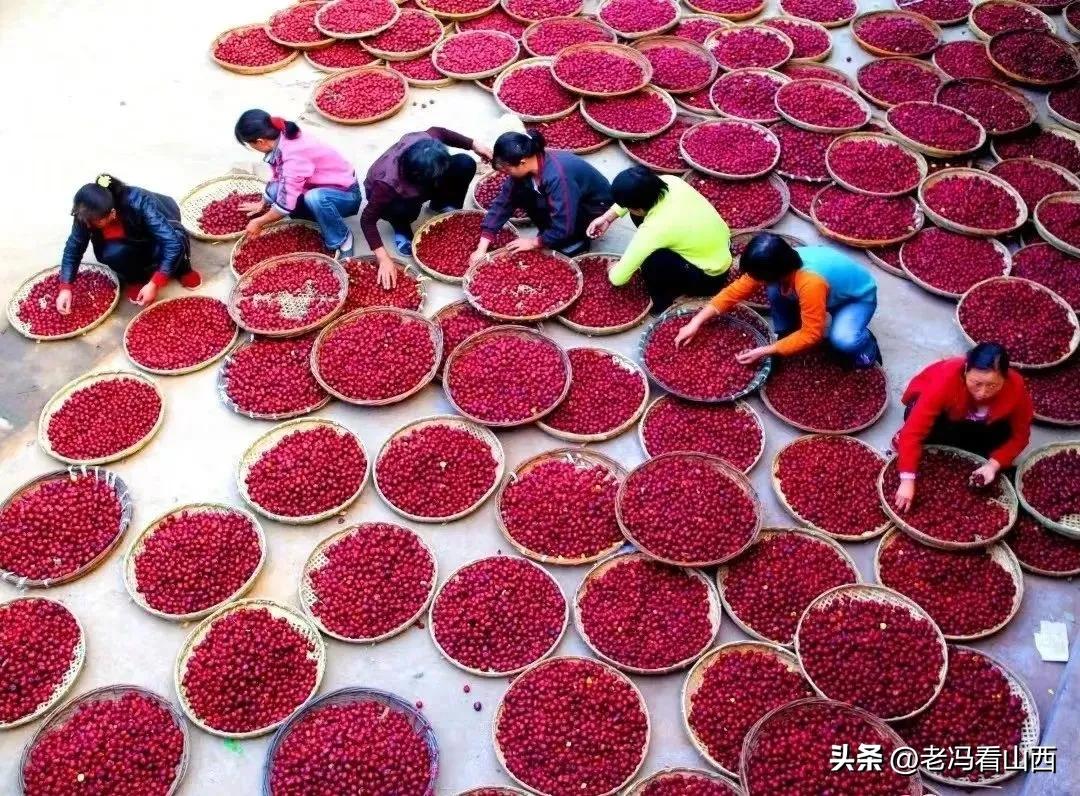 稷山简介,稷山的魅力绘画作品