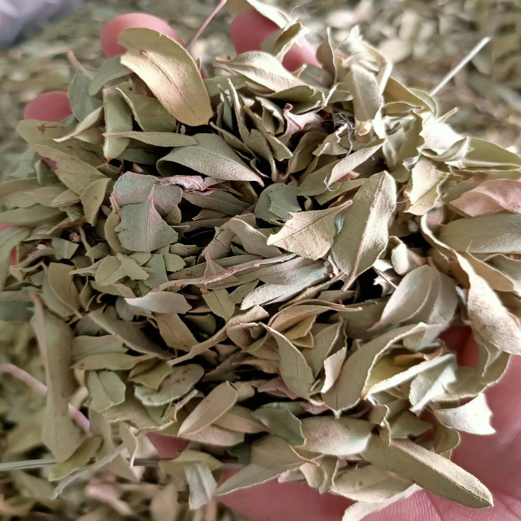 春天肝火过旺适合吃哪种食物,肝火旺血压高按哪个穴位