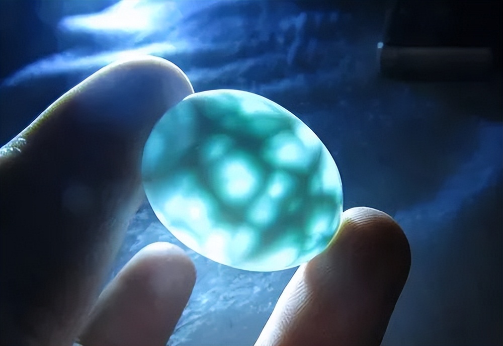 宝石级海纹石,6-12岁儿童必读的海洋书籍