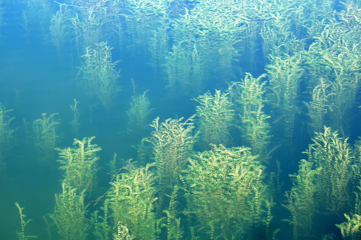 洛阳市汝阳的图片,汝阳县城美景