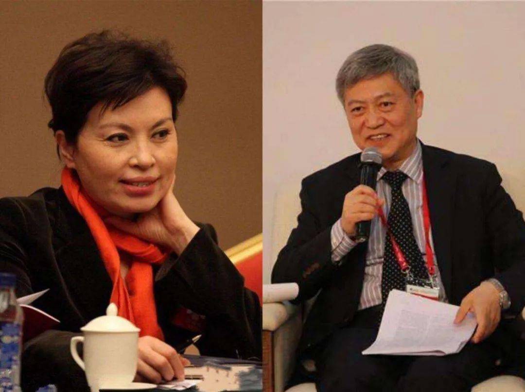 央视主播李瑞英儿子坠楼后续,央视主播李瑞英儿子坠楼