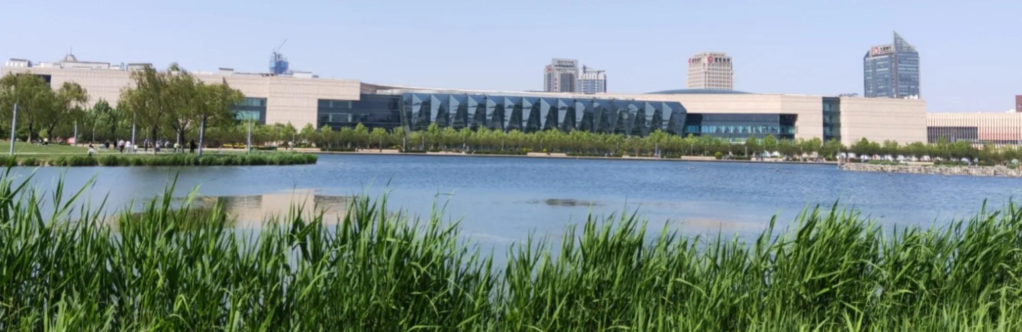 儿童学绘画可以加分吗,儿童学画画从哪种开始比较好