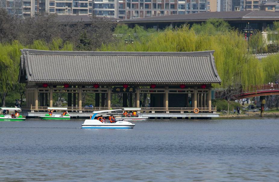 骑行打卡景点,湿地骑行观风景