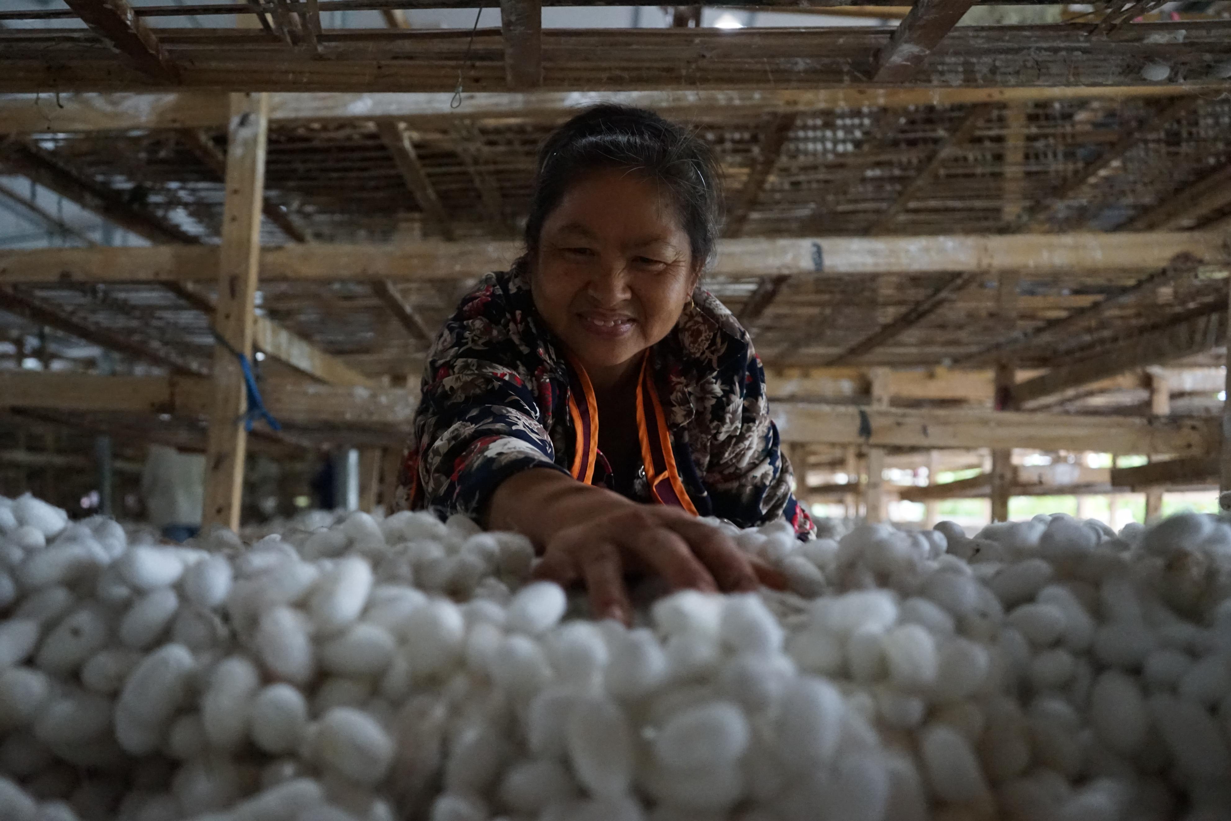 乡约丰收季视频,乡约看振兴