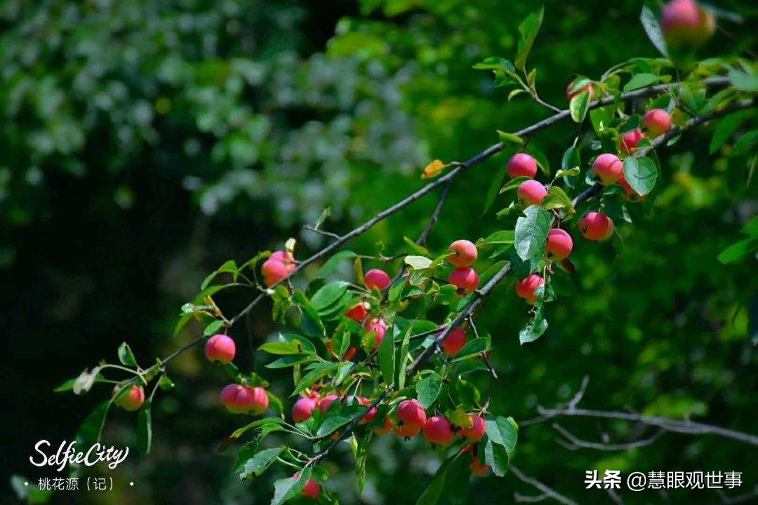 真正的山西孝义土话方言,山西孝义土话大全集