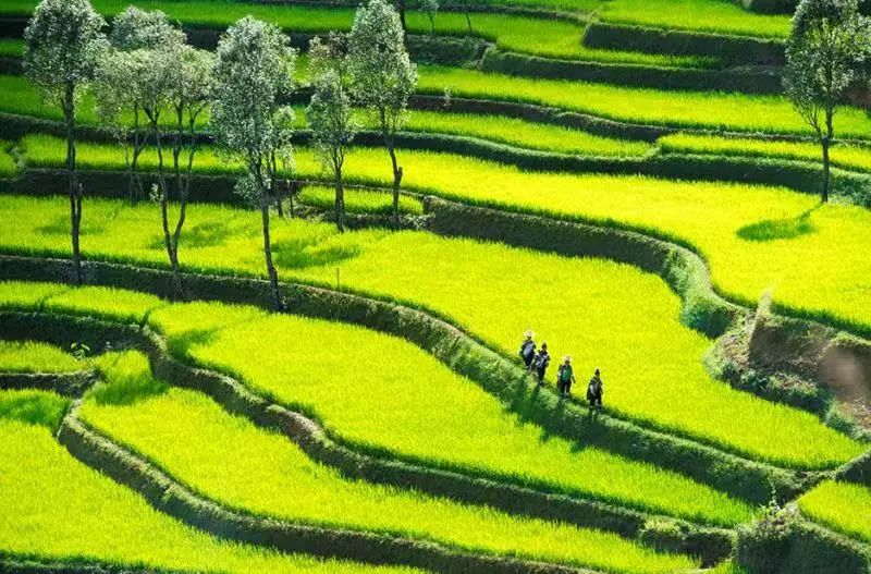 云南康辉旅游接待,云南康辉旅游服务