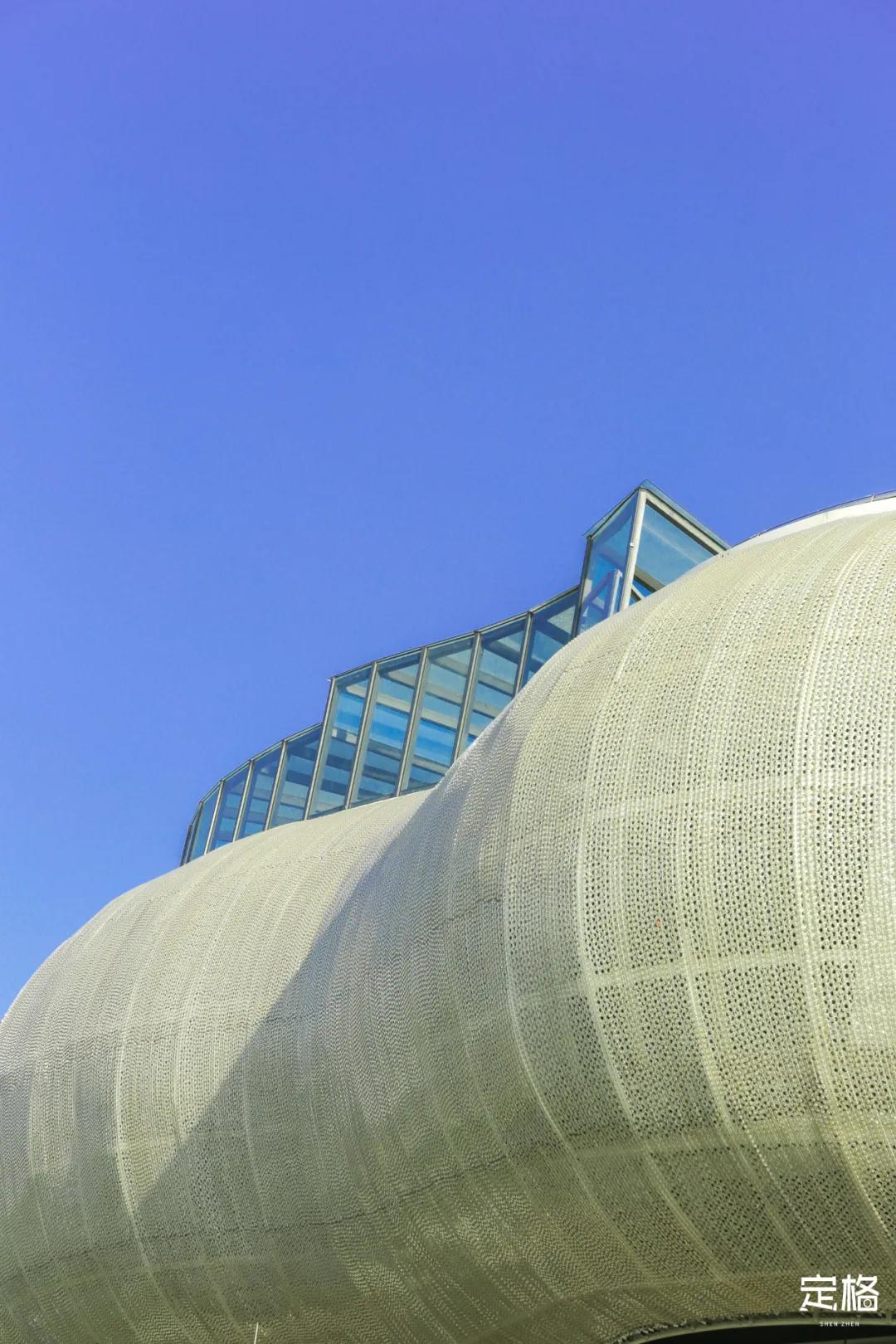 雨林打卡网红地滑梯,深圳哪里有超大型滑梯