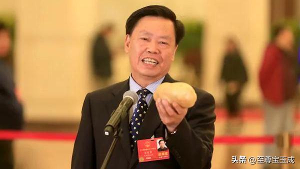 专家回应水稻上山的问题,水稻上山为什么引起这么大争议呢