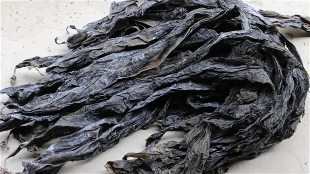 饮食当中哪种食物含钙最高,补钙必备这些食材含钙量最高