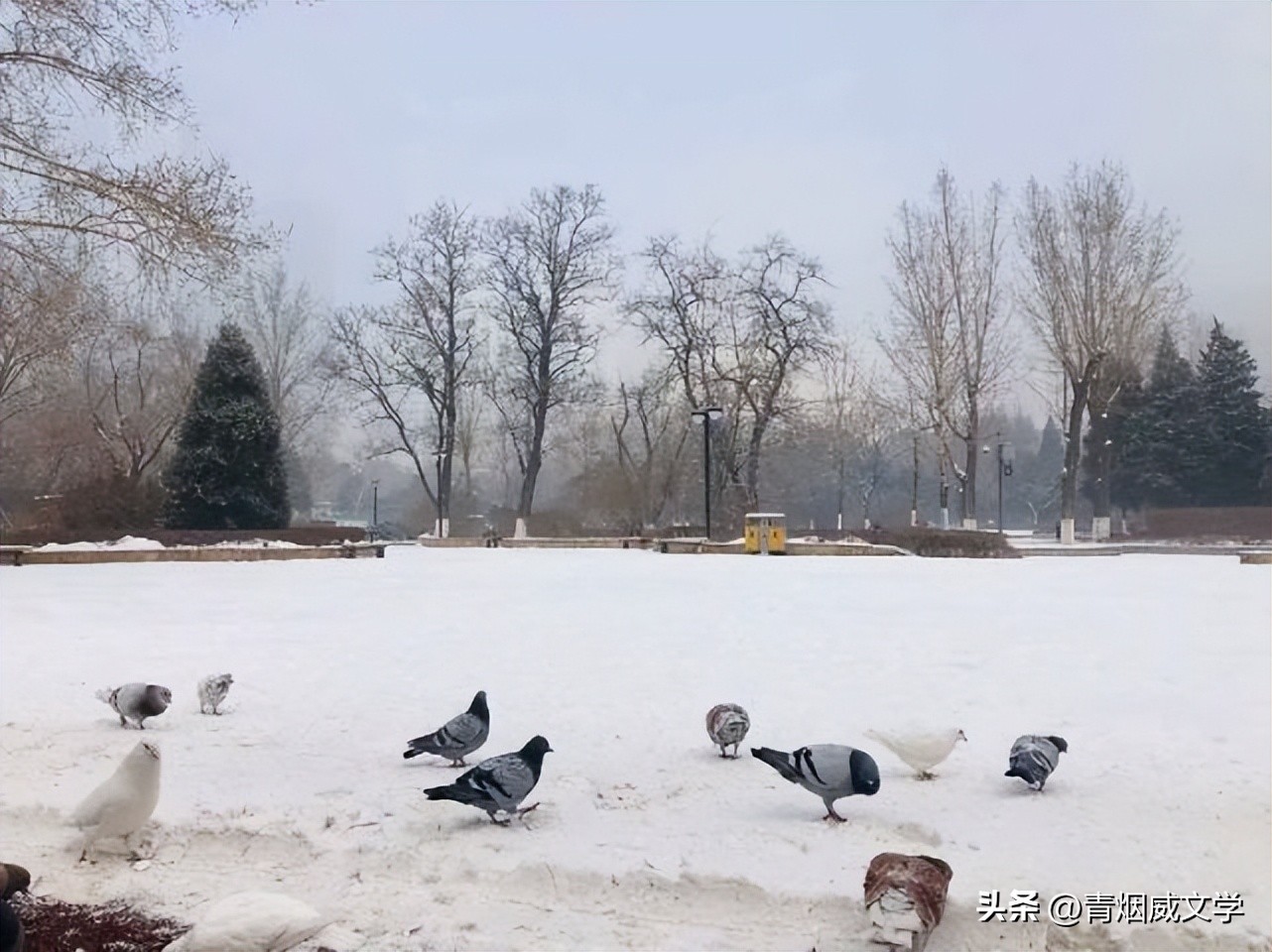 七律小寒随吟,小寒节气的现代七律