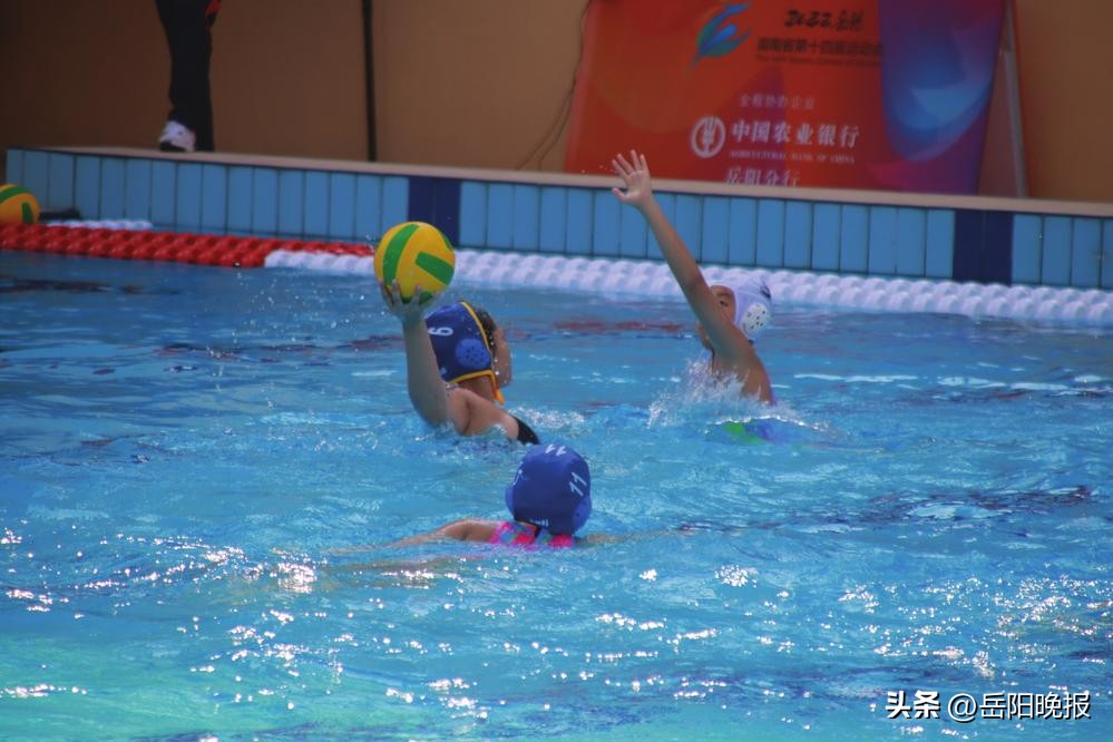 岳阳冷水铺双色球大奖,岳阳水球姑娘夺冠军
