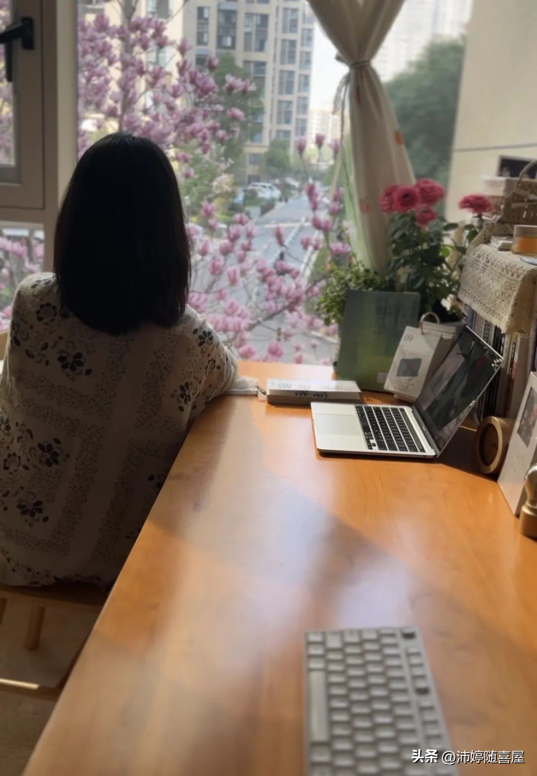 一天4个商单找上门！8300元稿费，都来自这个平台｜写作变现渠道