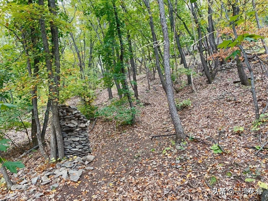 吉林延边州延吉市青年湖公园,延吉内旅游景区排名