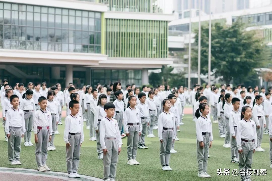 鎹锋姤棰戜紶纭曟灉绱疮,浼樼瀛﹀瓙鎹锋姤棰戜紶