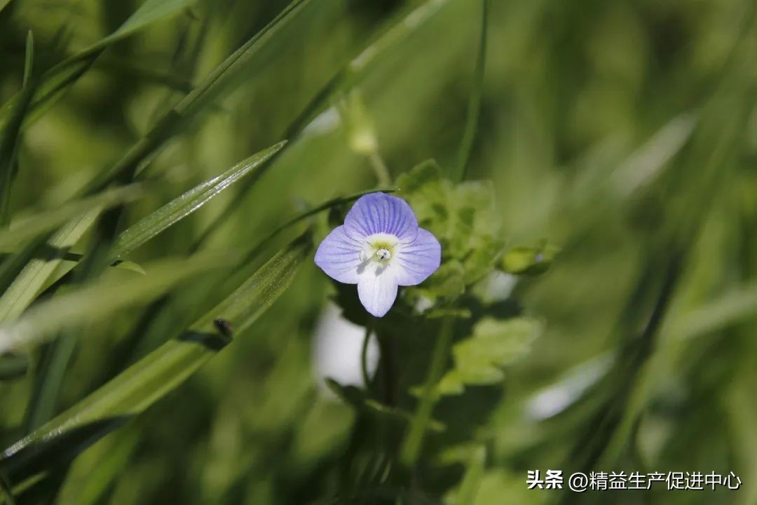 判断一个人的领导力应从哪里开始,可复制的领导力4点总结