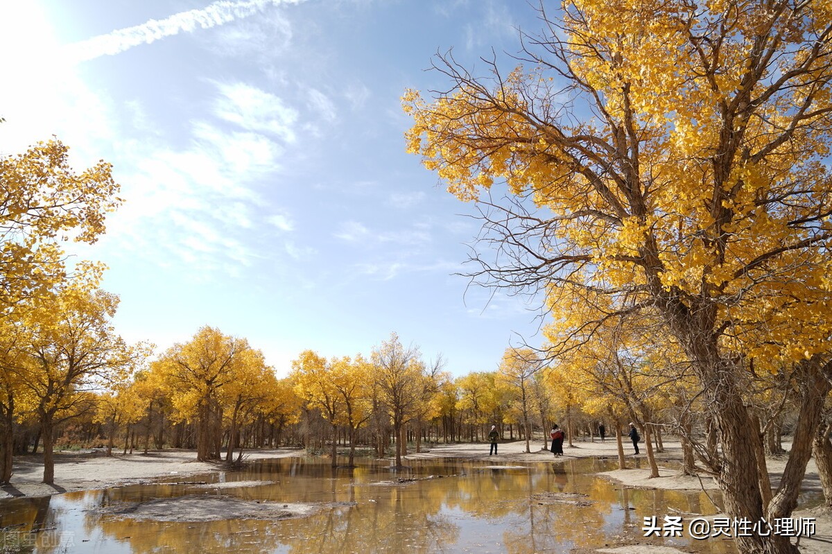 亲人去世该做的事,如果亲人去世了需要做什么