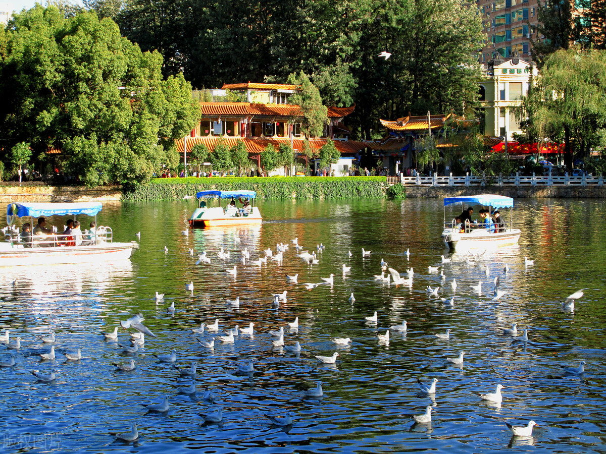 昆明及昆明周边景点,去昆明旅游攻略必去景点最新