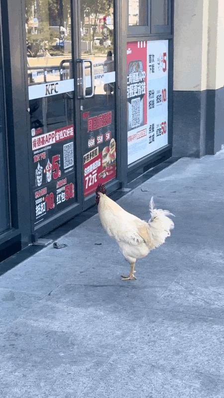 有没有结婚找不到伴娘的尴尬,实在找不到伴娘
