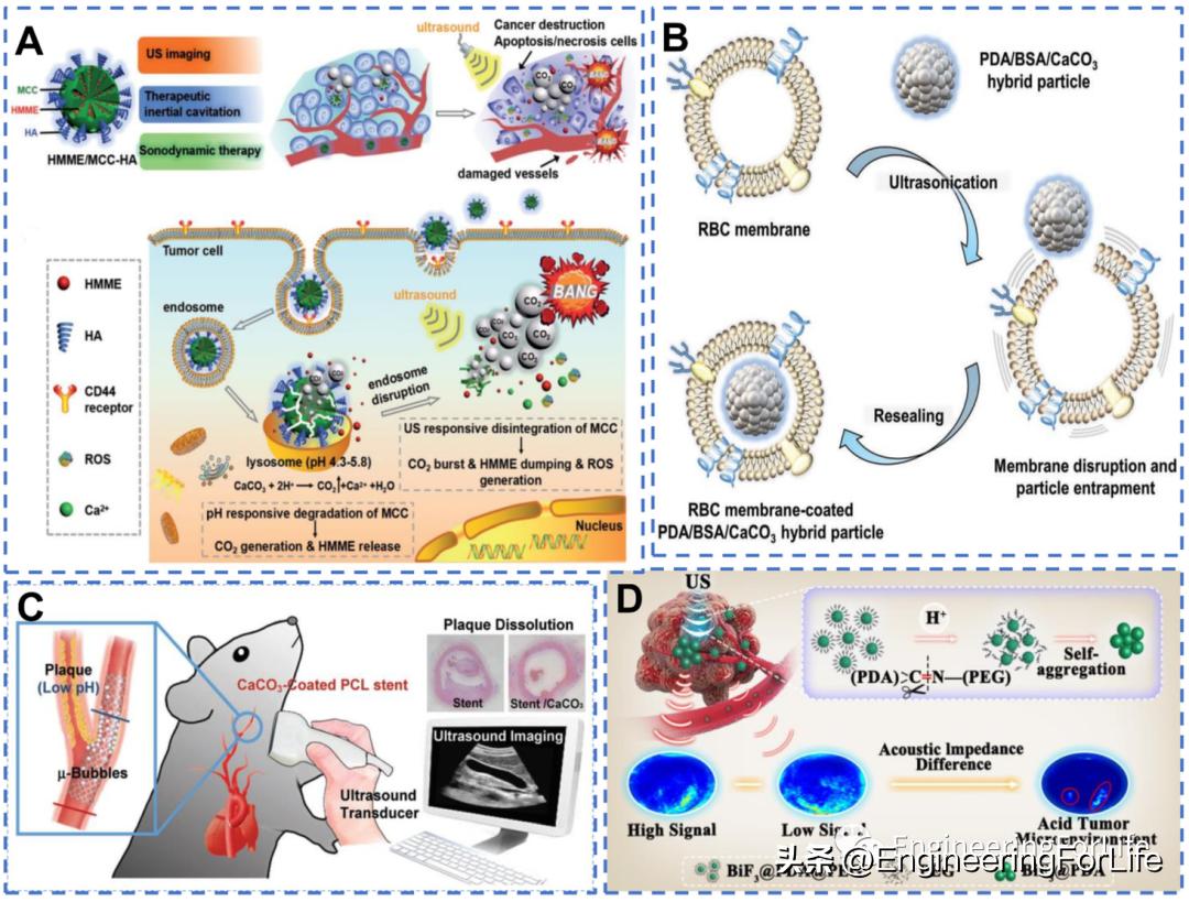 纳米材料抗肿瘤药物怎么用,新型纳米材料治疗肿瘤
