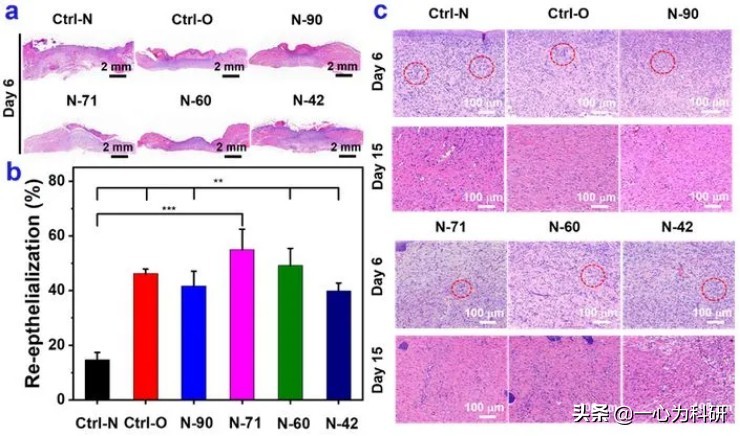 南大副教授sci论文被撤稿,中山大学sci论文因图片重复