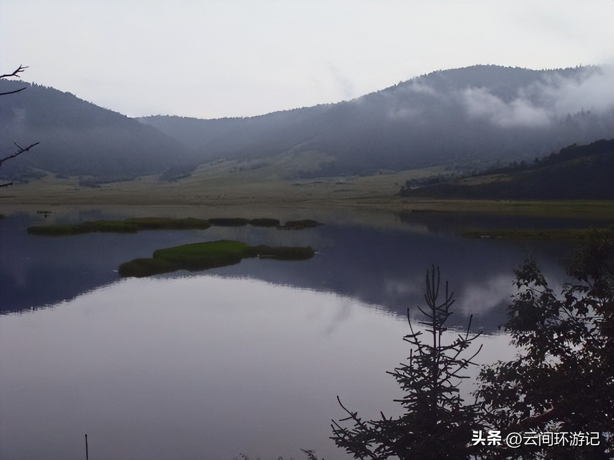 「一根风花雪月的鸡毛」（云南丨昆大丽香）